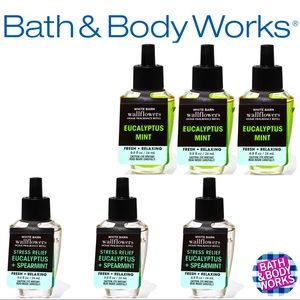 (6) Wallflower Fragrance Refill Bundle
